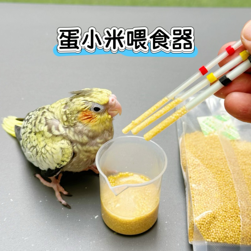 蛋小米雏鸟幼鸟喂食器喂食工具