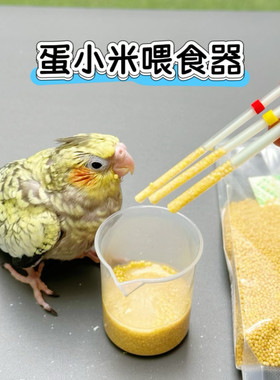 蛋小米雏鸟幼鸟喂食器喂食工具