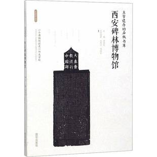 RT正版 亘古遗存的石板书库:西安碑林博物馆9787554134238 王庆卫西安出版社历史书籍