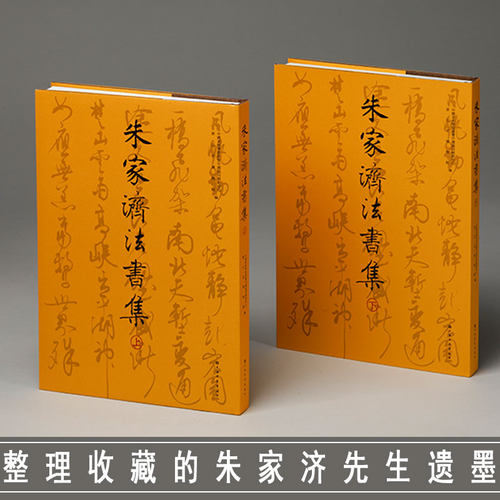 朱家济法书集上下册 朱家济法书集上下册 宣纸原大复制朱家济跋佛教真言铅牌拓片