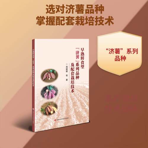 RT现货速发 早熟鲜食型“济薯”系列品种及配套栽培技术9787511678164 周媛媛等中国农业科学技术出版社图书书籍