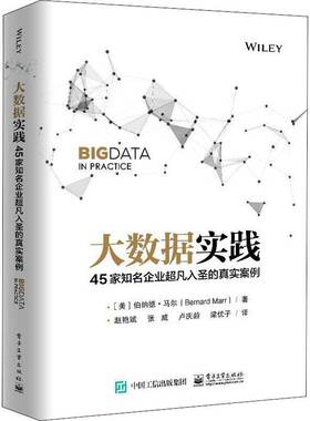 RT正版 大数据实践：45家知名企业入圣的真实案例9787121352331 伯纳德·马尔电子工业出版社计算机与网络书籍