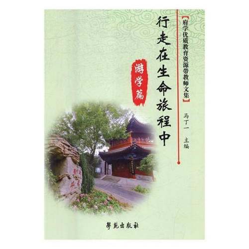 RT正版 行走在生命旅程中（游学篇）全两册9787507752274 马丁一学苑出版社工业技术书籍