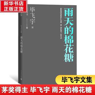RT正常发货 雨天的棉花糖9787020164219 毕飞宇人民文学出版社小说书籍