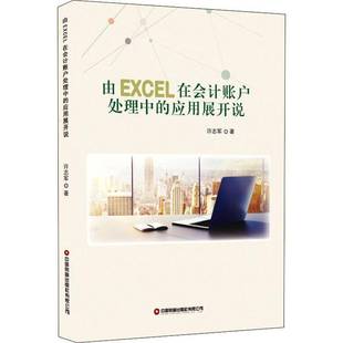 RT正版 由EXCEL在会计账户处理中的应用展开说9787504772060 许志军中国财富出版社经济书籍