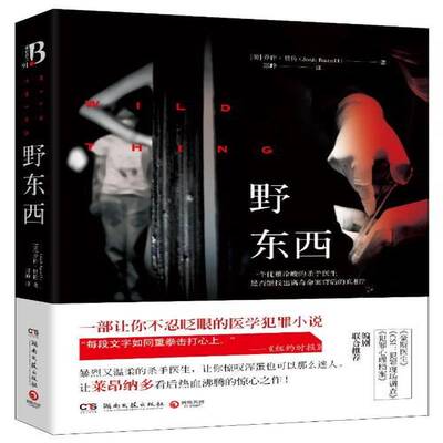 RT现货速发 野东西9787540466138 乔许·贝佐湖南文艺出版社小说书籍