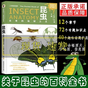 讲述昆虫奇特 3一6读物亲子阅读启蒙昆虫科普读物演化史儿童书籍法布尔昆虫记科普经典 物种演化故事奥秘 地球之王 昆虫古老