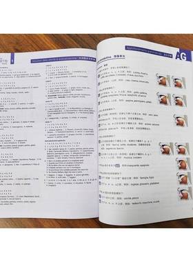 RT正版 新视线意大利语:1:1:学生用书:Libro dello studente9787561957158 马林北京语言大学出版社外语书籍