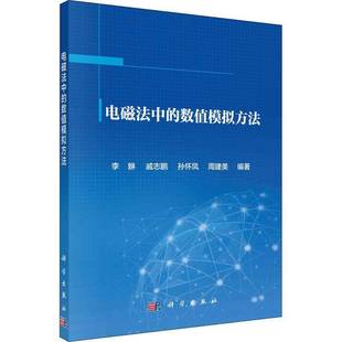 李貅科学出版 数值模拟方法9787030673435 社自然科学书籍 电磁法中 RT正版