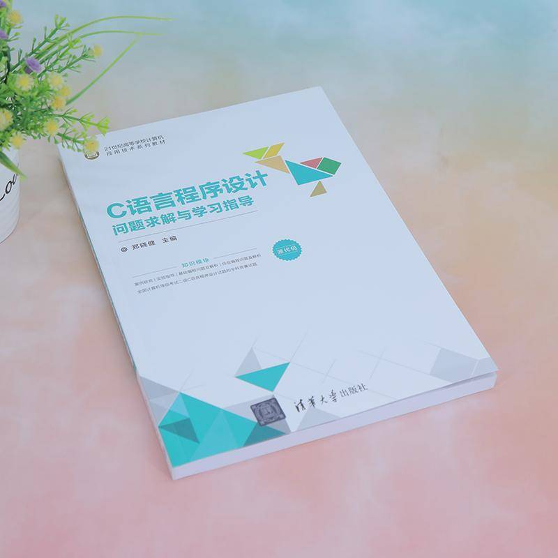 RT正版 C语言程序设计问题求解与学习指导9787302634379 郑晓健清华大学出版社计算机与网络书籍