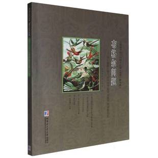 RT正版 布格尔问题:从一道6届全国中学生物理竞赛预赛试题谈起9787576716603 刘培杰数学工作室哈尔滨工业大学出版社自然科学书籍