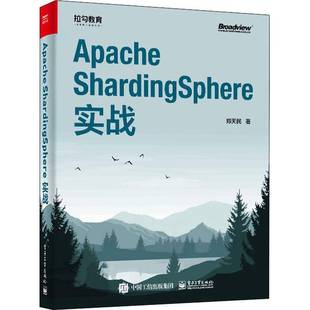 郑天民电子工业出版 ShardingSphere实战9787121356544 社计算机与网络书籍 Apache RT正版