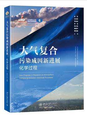 RT正版 大气复合污染进展:化学过程:chemical processes9787301361764 朱彤北京大学出版社自然科学书籍