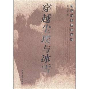 张清华西北大学出版 当代诗歌观察笔记9787560427904 社古诗词研究书籍 穿越尘埃与冰雪 RT正版