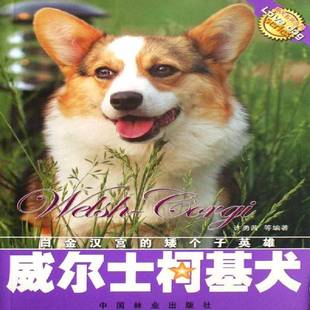 社农业 许勇茜等中国林业出版 林业书籍 威尔士柯基犬9787503846014 RT正版