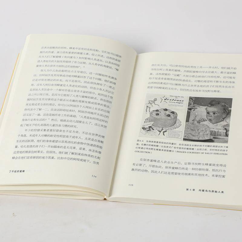 RT正版 了不起的蜜蜂:the nature and necessity of bees9787521739640 索尔·汉森中信出版集团股份自然科学书籍