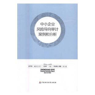 RT正常发货 中小企业风险导向审计案例和分析9787509562284 王惠中国财政经济出版社经济书籍