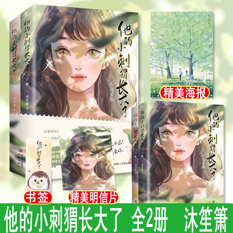他的小刺猬长大了 沐笙箫 霸道冷酷精英男vs虚张声势小刺猬双向救赎双向奔赴甜宠浪漫爱情言情都市小说悦读纪莫忘初心