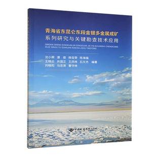 社自然科学书籍 沈小荣中国地质大学出版 RT正版 青海省东昆仑东段金银多金属成矿系列研究与关键勘查技术应用9787562558057