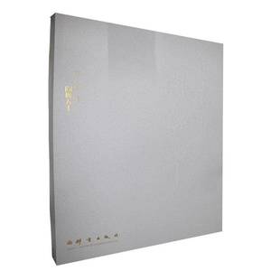 社艺术书籍 群言出版 RT正版 自省集·阎巍五十9787800804762