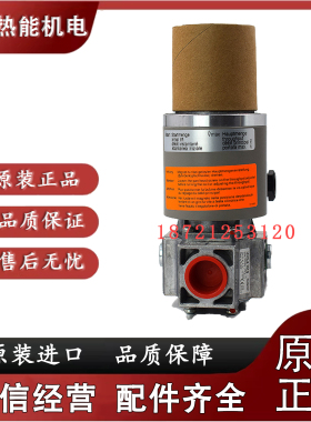 DUNGS燃气电磁阀德国MVDLE207/5奥林佩亚燃烧机GOM-1N/2N用电磁阀