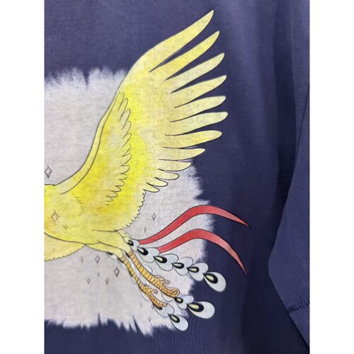 SaintMichael火鸟凤凰展翅图案字
