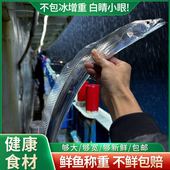 宁波舟山东海钓带鱼小眼睛新鲜海鲜 3两小带鱼 5斤20条内 每条2