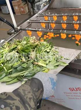 贵州刺泡清洗机 果蔬菠菜泥沙臭淋氧喷清洗设梨备气 净ZGS菜清洗