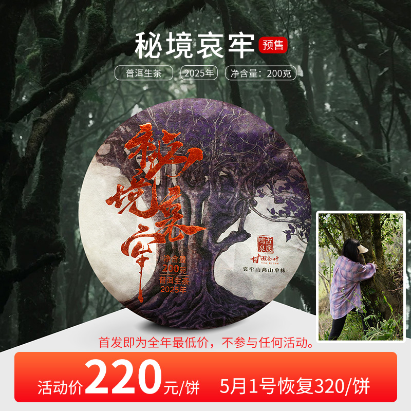 舌底鸣泉甘田茶叶哀牢山单株
