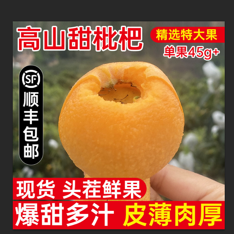 正宗四川米易枇杷新鲜当季水果琵琶应季孕妇大五星级五斤特级大果
