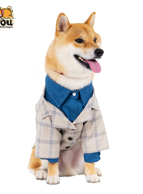 独家宠物狗狗猫咪可定制柴犬宠物结婚格仔英伦牛仔衬衣衬衫西装两