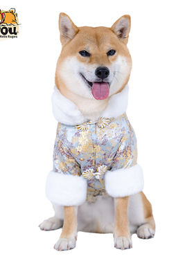 独家设计柴犬柯基宠物狗狗带毛领喜庆过年结婚中式婚礼唐装汉服