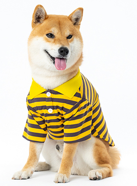 独家设计宠物狗狗猫咪柴犬贵宾潮牌春季新款薄透气宠物POLO衫T恤