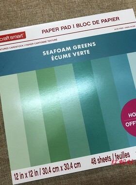 原单 DIY手工制作素材 手账剪贴卡纸 Craft Smart Seafoam Greens