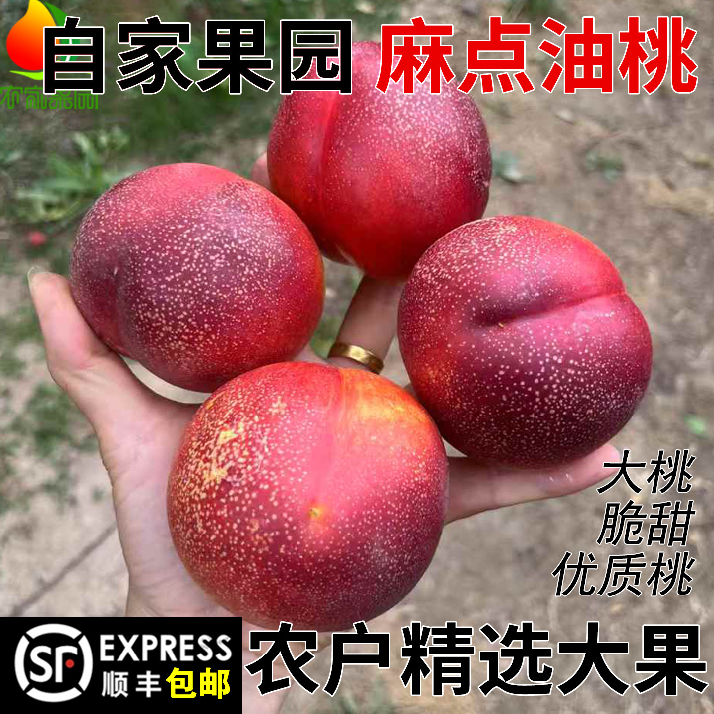 农家果园 现摘麻点黄肉油桃5斤新鲜孕妇水果包邮桃子当季脆甜桃