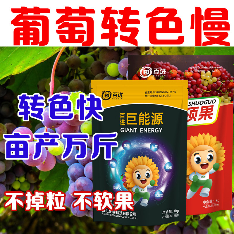 百进巨能源硕果组合生根壮苗膨果均匀转色上糖增甜防软果掉粒落果