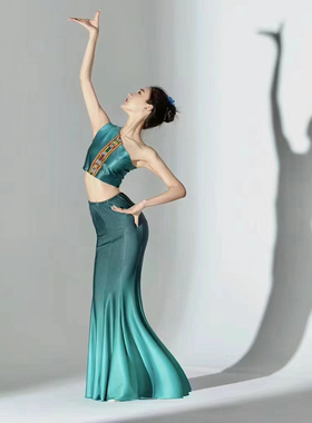 傣族舞蹈演出服装练功裙表演服女傣族孔雀舞艺考服装鱼尾半身舞裙