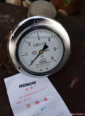 红旗不锈钢轴向带边耐震压力表YTN100ZT6MPA 抗震压骏营议价商品