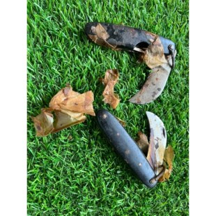 马掌刀 60年代用于便于携带 给马修蹄子用的  钢材非常好骏营商贸