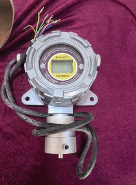 microsafe 在线式氨气检测仪FGD2N-2,测量范围骏营商贸—议价