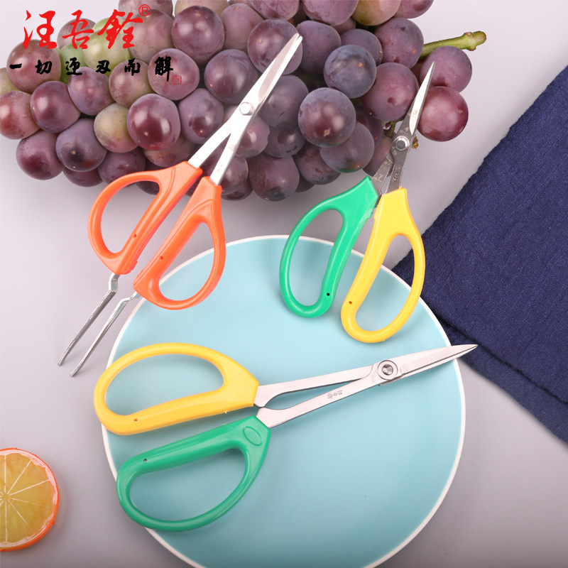 汪吾铨葡萄剪弯头修枝剪翘头剪刀修果蔬果剪园艺剪树枝剪家用剪子图片