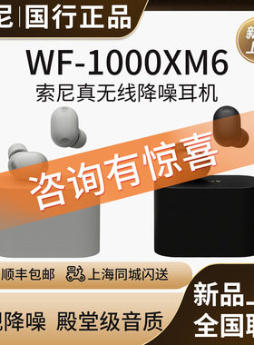 【新品】Sony/索尼WF-1000XM6 双芯超旗舰降噪真无线耳机 降噪豆6