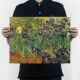 Серый e69 van gogh ridis flower