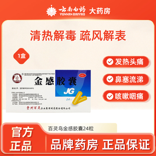 百灵鸟金感胶囊 0.45g*24粒/盒普通感冒流行性感冒发热头痛鼻塞