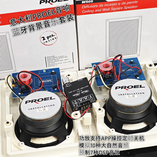 2分频嵌入墙壁吸顶房车蓝牙音箱