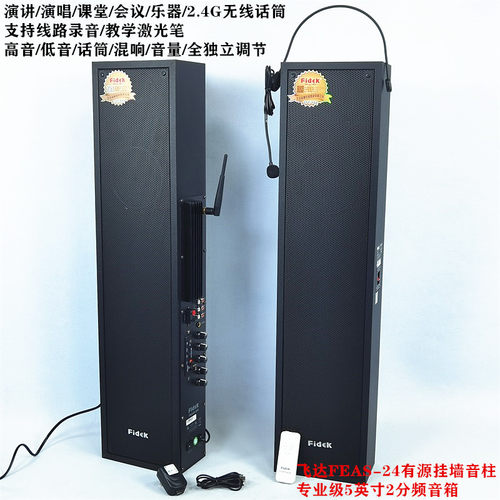 FIDEK5英寸2分频无线话筒录音