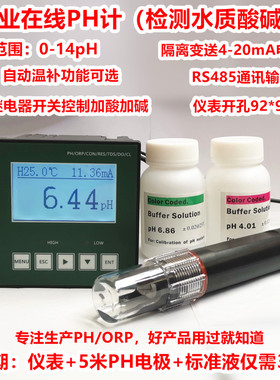 工业在线pH计 PH仪表 PH控制器 工业ph计 PH酸碱度测试仪 ORP计