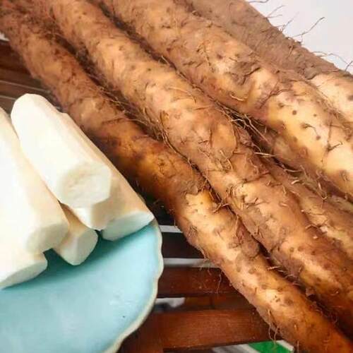 垆土五斤装焦作温县新鲜山药