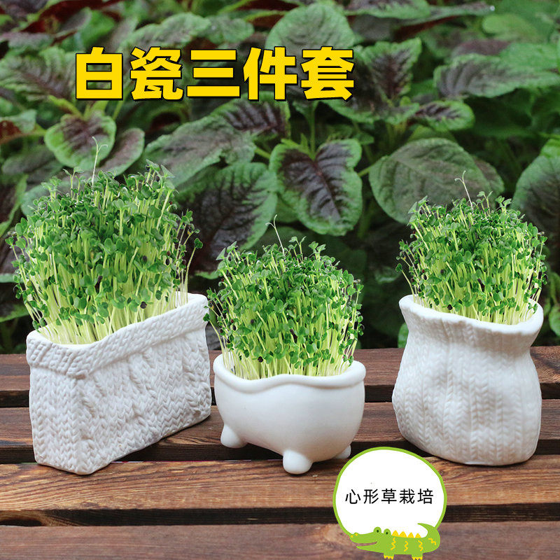 桌面迷你趣味种植植物礼品工艺品盆栽小朋友幼儿园diy植物微景观