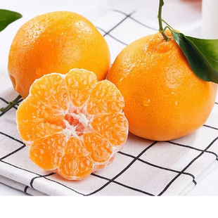 闫钦广果业四川春见粑粑柑应季新鲜特级水果整箱包邮